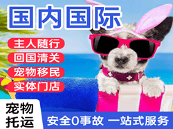 抚远东极航空空运国际宠物托运 【国